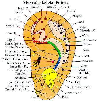 Yoga Classes in Patna, Best Yoga Classes in Patna, Yoga Therapy in Patna,Acupressure Therapy in patna